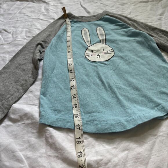 Hanna Andersson long sleeve baseball t-shirts bundle of 2 kids size 110 (US 5) - Picture 7 of 10